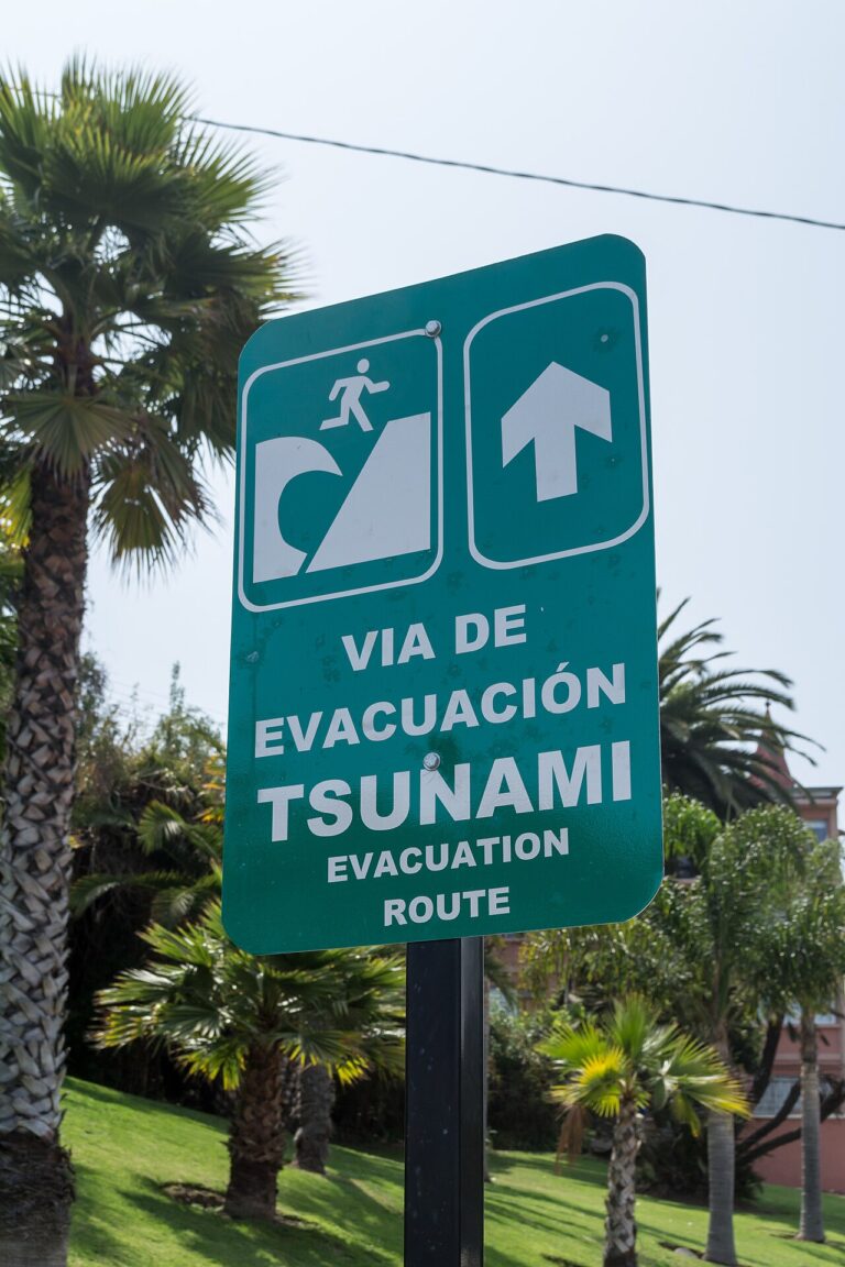 Señal de vía de evacuación ante tsunami, imagen ilustrativa